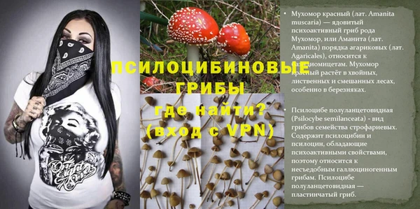 каннабис Арсеньев